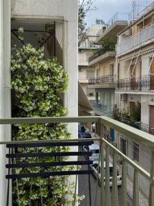 a balcony of a building with a plant at SoHoAthine Apartment in Athens