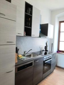 una cucina con lavandino e piano cottura di Wachau - Angenehm ruhiges Zimmer 6 a Mautern an der Donau