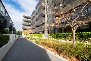 an apartment building with a tree and a sidewalk at Modern, Ground floor , CBD, Free parking, 2-3 Beds in Christchurch