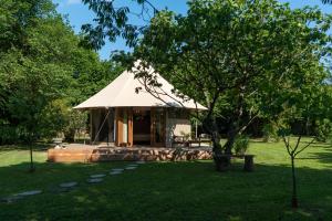 a tent in a park with a tree at Glamping Canonici di San Marco in Mirano