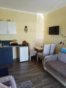 a kitchen and a living room with a couch and a table at Apartmani-Sobe Manić in Soko Banja