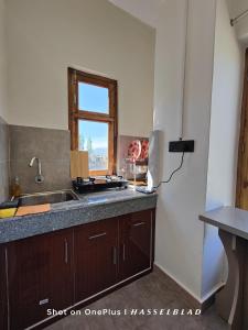 a kitchen with a sink and a window at Zanu Residency in Leh