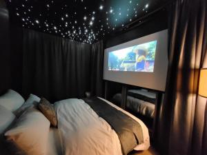 una camera da letto con un letto e una tv con le stelle di La Jonquette a Francheval