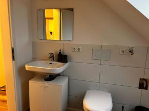 un bagno con lavandino, WC e specchio di Ferienwohnung im Resi Gesundheitszentrum a Freudenberg