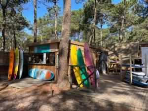 a surf shop with surfboards leaning against a tree at Hoya Surf Camp - Activités + logements in Biscarrosse