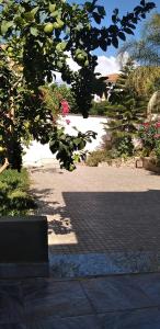 a view of a garden with plants and flowers at Appartement meublée f3 in Alger