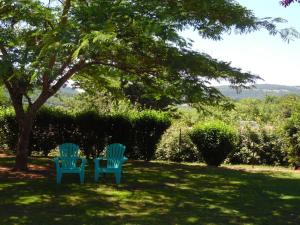 two blue chairs sitting in the grass under a tree at Le Viognier - Gîte - Lot (vallée de la Dordogne) in Saint-Michel-de-Bannières +1 photo