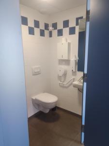 Luthenay-UxeloupにあるLa Halte du Canalのバスルーム(トイレ、洗面台付)