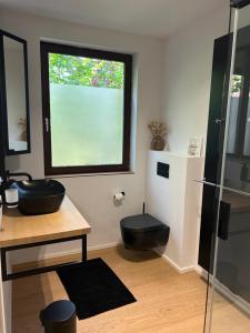 a bathroom with a sink and a toilet and a window at Le Chalet du Pays de Herve in Herve