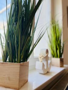 a potted plant sitting on a table next to a plant at Kapitänshaus an der Warnow mit Sauna in Rostock