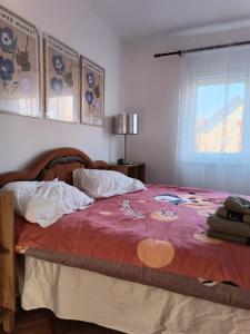 a bedroom with a large bed with a red blanket at Nas San lower apartment in Vrdnik