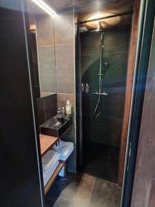 a bathroom with a shower and a sink at Le Chalet Georges in Chamonix