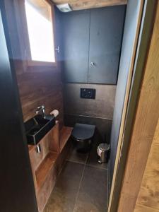 een kleine badkamer met een wastafel en een toilet bij Le Chalet Georges in Chamonix-Mont-Blanc