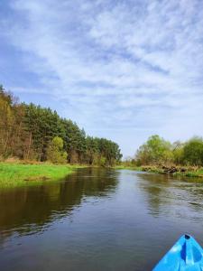 un barco en un río con árboles en el fondo en Wood Land Liswarta domki w drzewach, en Popów