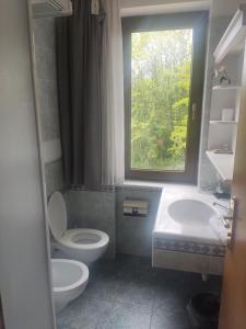 a bathroom with a toilet and a sink and a window at Albergo Aurora in Canzolino