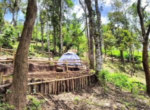 une tente au milieu d'une forêt dans l'établissement Nebula Nest Tent Camping Munnar, à Munnar