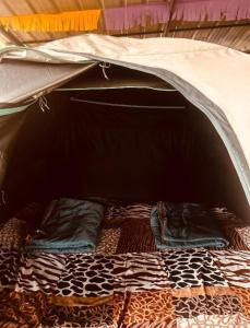 Una habitación con cama en una tienda en Nebula Nest Tent Camping Munnar, en Munnar