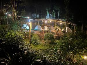 a group of tents in a forest at night at Nebula Nest Tent Camping Munnar in Munnar