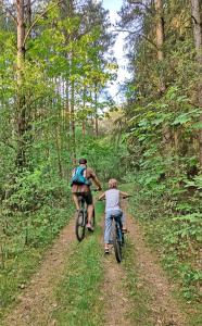 Cycling sa o sa paligid ng Wood Land Liswarta domki w drzewach