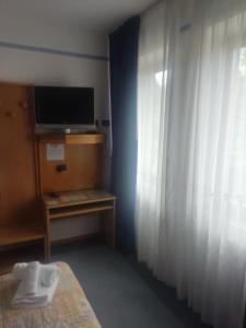 a room with a bed and a television and a window at Albergo Aurora in Canzolino