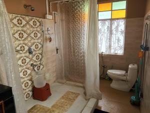 a bathroom with a shower and a toilet and a window at SAI´S GRACE in Kalimpong