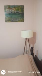 Apartman sa pogledom na Most i prirodu في بليفليا: غرفة نوم بسرير ومصباح ودهان