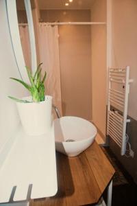 a bathroom with a plant on a wooden table at Au Béguinage - Studio au coeur de wavre in Wavre