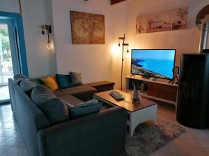 TV a/nebo společenská místnost v ubytování Maison