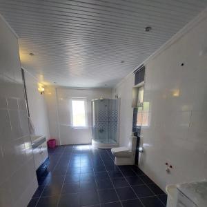 a bathroom with a toilet and a shower and a window at Muhteşem Havuzlu Villa in Seferihisar