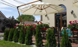 eine Terrasse mit Sonnenschirm und einigen Pflanzen und Blumen in der Unterkunft Hotel Ana in Arad
