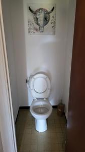 a bathroom with a toilet with a bull painting on the wall at Bel Appartement in Vinassan +4 photos