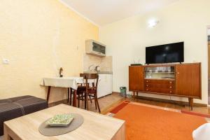 TV a/nebo společenská místnost v ubytování Rural apartment Radman