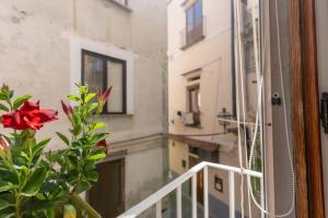 ソレントにあるSorrento Realty Holidays Casa Lenùの赤い花のあるバルコニーからの眺め