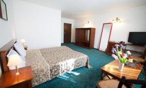 アラドにあるHotel Anaのベッドとテレビが備わるホテルルームです。