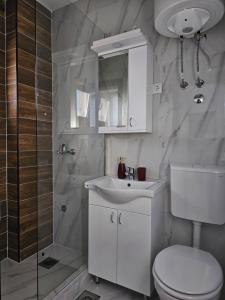 a bathroom with a toilet and a sink and a shower at Zlatni bor apartmani in Solotuša