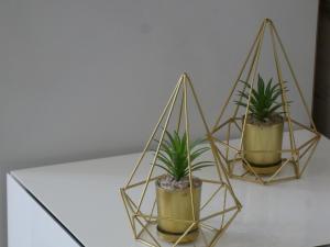 three plants in gold triangles on a table at Villa Barrinha in Praia de Mira