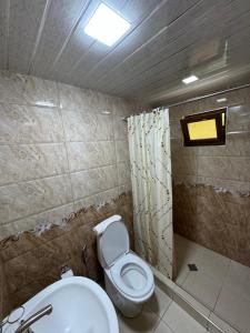 Halidzor的住宿－Harsnadzor Eco Resort，一间带卫生间和水槽的浴室