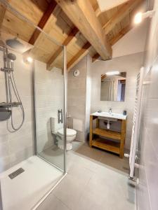 a bathroom with a shower and a toilet and a sink at Chalet L'Argentière in La Toussuire