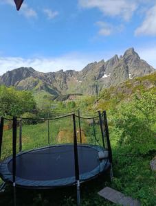 a trampoline in a field with mountains in the background at House in Ballstad in Lofoten in Skotnes