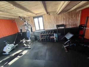 a gym with weights and equipment in a room at House in Ballstad in Lofoten in Skotnes