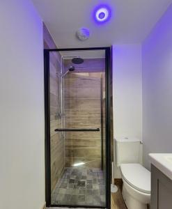een badkamer met een douche en een toilet bij Chalet Le Mauntenrojji - skis aux pieds in La Toussuire