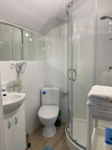サシノにあるBukszpanのバスルーム(シャワー、トイレ、シンク付)