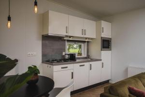een keuken met witte kasten en een fornuis met oven bij Panorama lodge with jacuzzi 2 p. in Rijssen