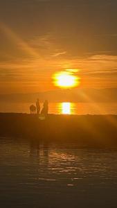 a group of people sitting on the beach at sunset at Nid douillet Pully au bord du lac Léman in Pully