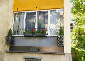une fenêtre avec trois plantes sur un balcon dans l'établissement Mila Apartment, à Skopje