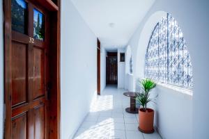 korytarz z drzwiami i doniczką w obiekcie Homelike Guest House w mieście Kirenia