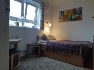 ロンドンにあるCosy room in Camden Town zone 2の小さなベッドルーム(ベッド1台、窓付)