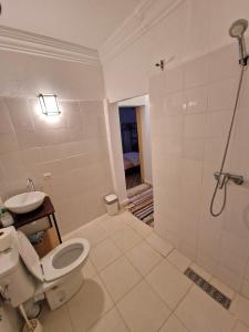 La salle de bains est pourvue de toilettes, d'un lavabo et d'une douche. dans l'établissement Dar Randigaba, à Taroudant