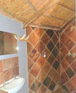 uma casa de banho com um lavatório e paredes em azulejo em Marico Guest Lodge em Groot-Marico