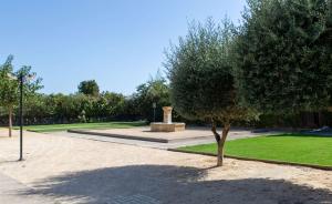 un árbol en medio de un parque en Zenitude Hotel la Valadiere, Ascend Hotel Collection en Montpellier